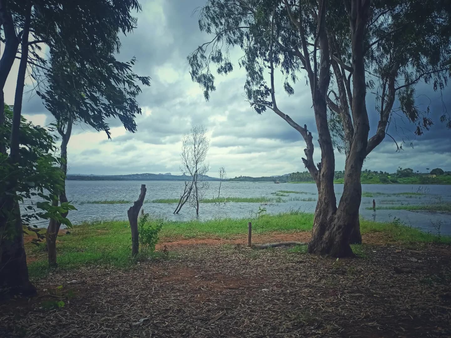 Kabini backwaters at dawn with mist over the water, Nagarhole Tiger Reserve in the background