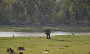 Wild elephant sighting near Kabini backwaters at dusk, close to Nagarhole Tiger Reserve