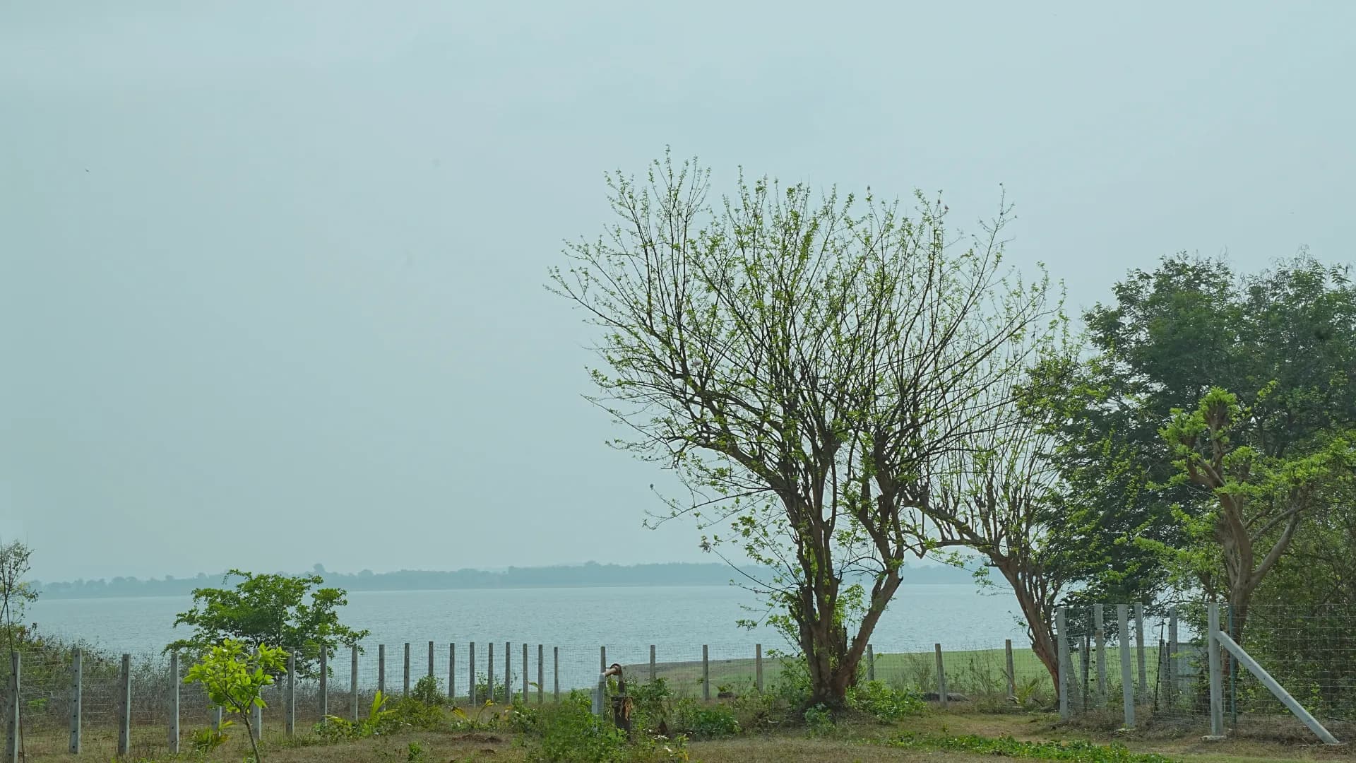 Tranquil lakeside view of the Kabini reservoir from Kabini Kaanana, HD Kote