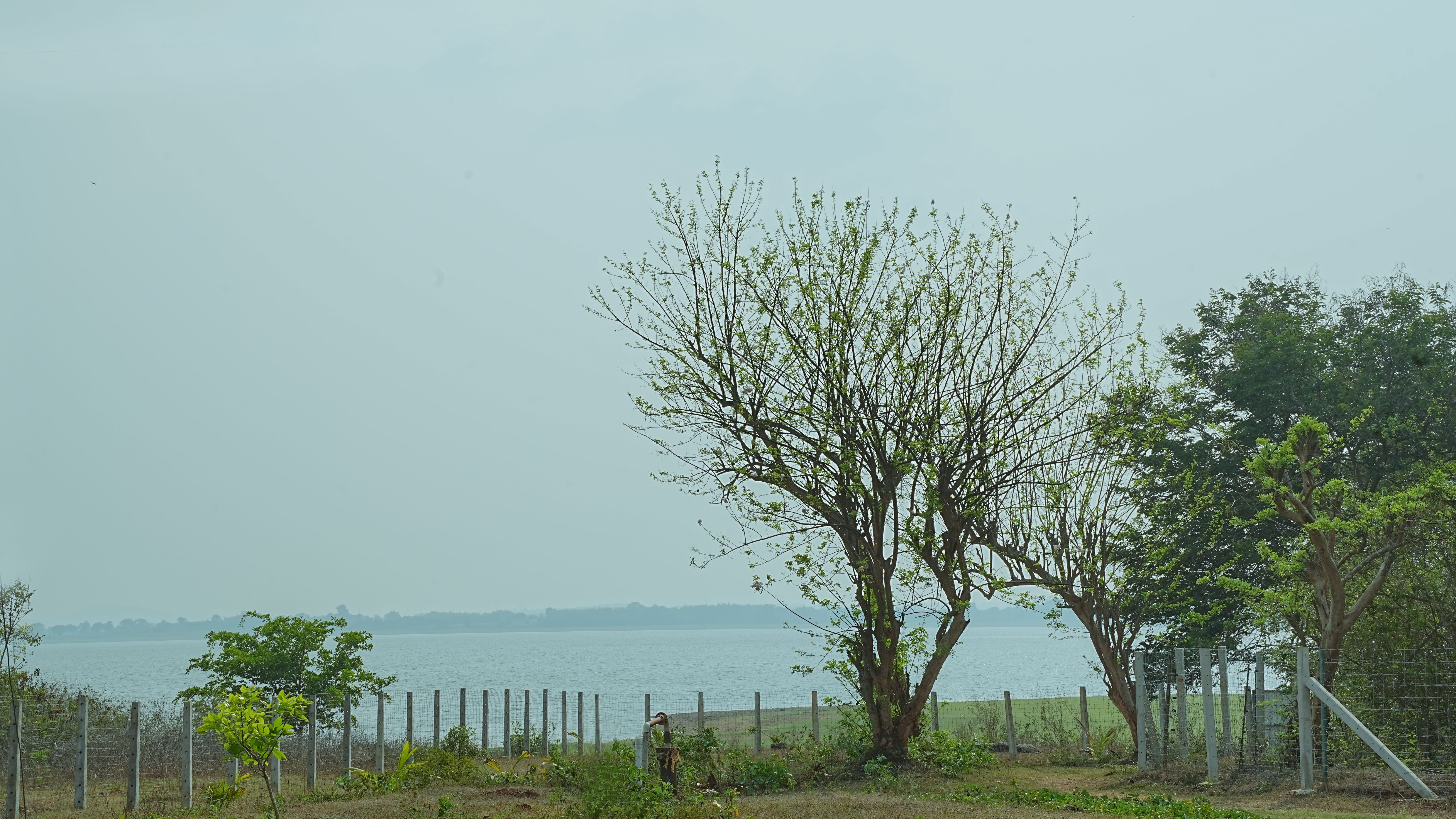 Kabini Kaanana Backwaters