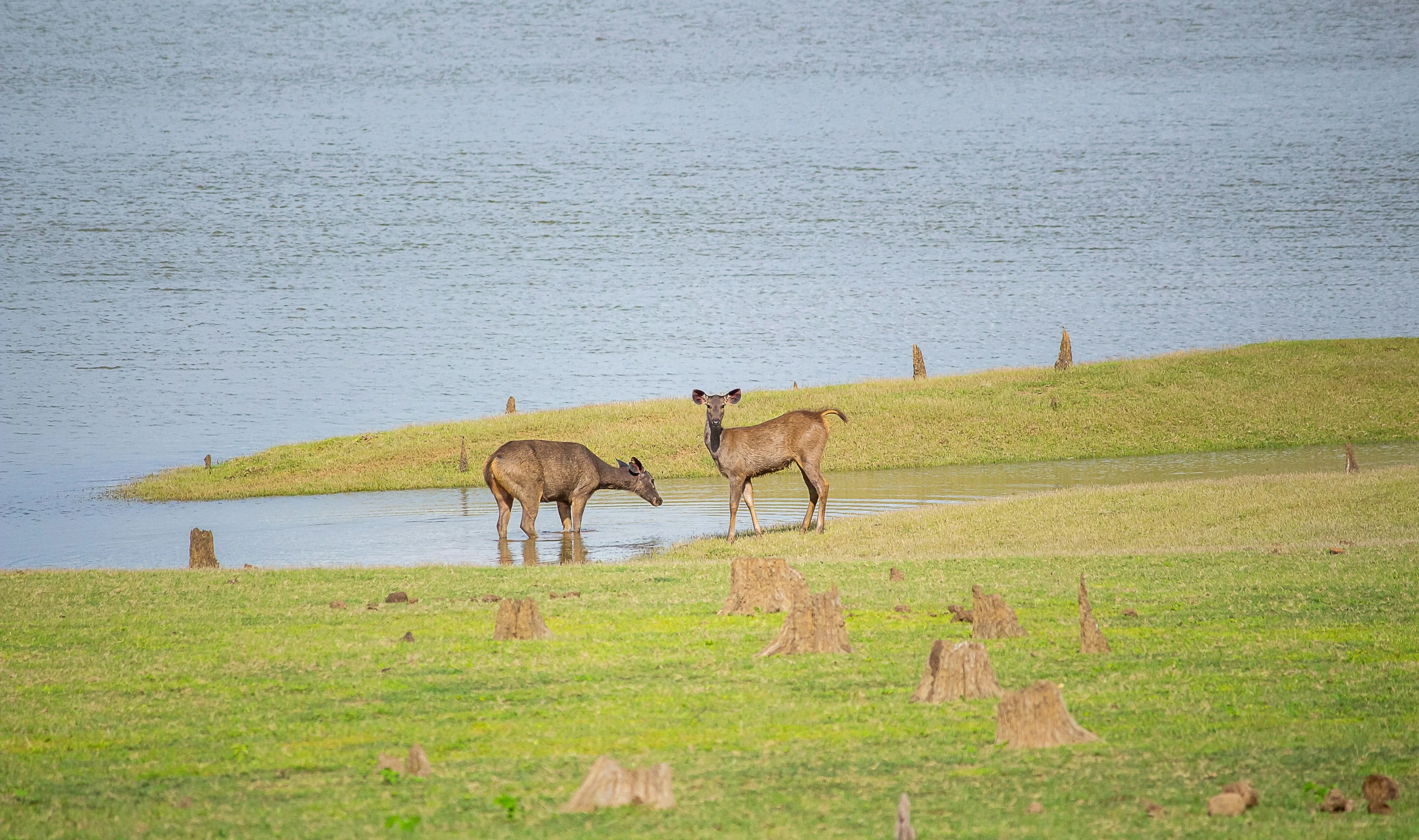 Kabini Kaanana Backwaters